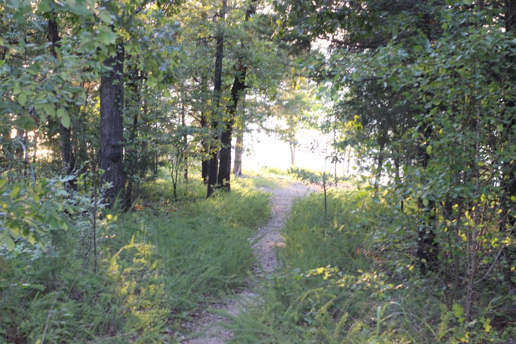 hiking trails in the branson area