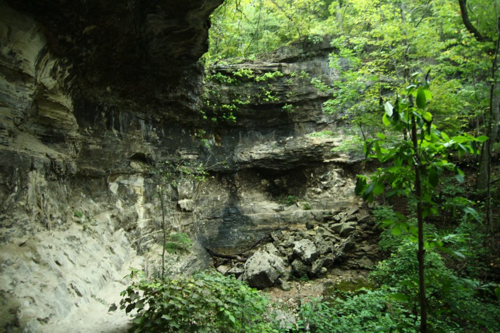 bluff at the lakeside wilderness area in branson